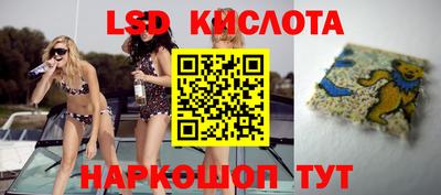 тгк Гатчина